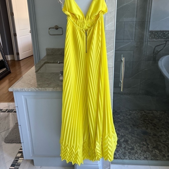 ALICE + OLIVIA Adalyn Pleated Halter Jumpsuit - Picture 12 of 13